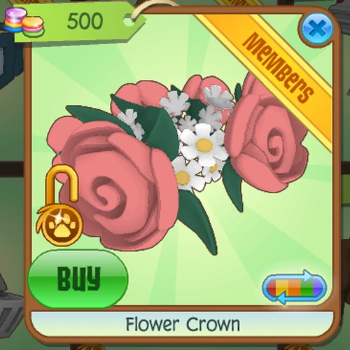 Flower Crown Aj Play Wild Best Flower Site