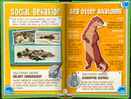 Sea Otterpage4