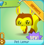 Diamond-Shop Pet-Lemur
