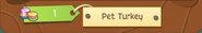PetTurkey1Gem.png (24 KB) The Pet Turkey sold for one gem.