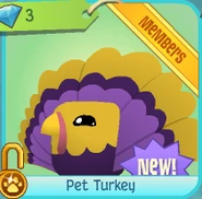 Diamond-Shop Pet-Turkey.png (32 KB) The members-only Pet Turkey sold in the Diamond Shop.