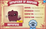 Pet Magenta Seal Adoption Certificate