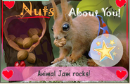 Nuts About You!