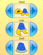 Pet turtle patterns 2