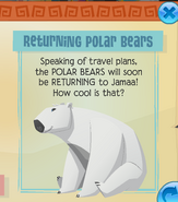 Returning polar bears