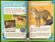 Cheetahs Minibook 3