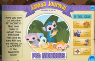 Pet monkeys jamaa journal