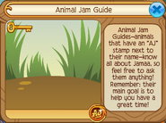 An example of a Player Card for an Animal Jam Guide