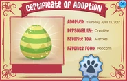 An Adoption Certificate for a pet egg
