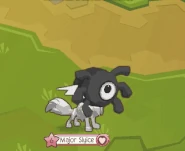 Phantom Mask | Animal Jam Classic Wiki | Fandom