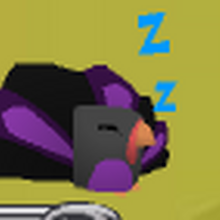 Pet Turkey Animal Jam Wiki Fandom