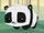 Pet Panda