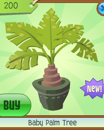 Baby Palm Tree Animal Jam Classic Wiki Fandom