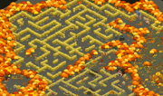 Cornmaze-1