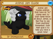 Animal Jam Guide player card