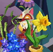 Juno Plushie | Animal Jam Classic Wiki | Fandom
