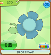 Shop Head-Flower Blue
