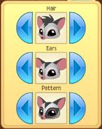 SugarGliderFeatures1.png (62 KB)