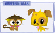 Adoption Week poster