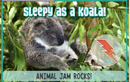 Koalajag