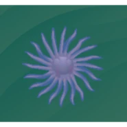 A purpleish blue sea star