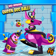 QueenBeeBallDailyExplorer