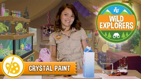Wild Explorers - Crystal Paint