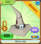 Witch Hat new tan