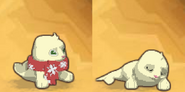 There is a glitch when a seal wears a Jamaaliday Scarf while sleeping, the scarf cannot be seen.