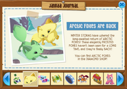 Jamaa Journal Arctic Foxes are back