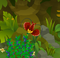 Red Bird-of-Paradise.png