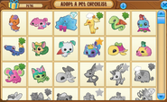 Adopt-A-Pet-Checklist Example