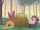 Pet Armadillo