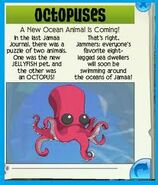 The announcement of the Octopus in Jamaa Journal.