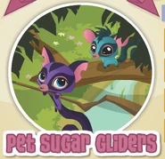 Pet sugar gliders.png (69 KB) Pet Sugar Gliders being introduced in the Jamaa Journal.