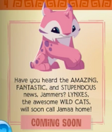 The teaser ad for Lynxes in the Jamaa Journal.