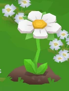 Spring-Festival Flower-Watered Egg-Opened.png (31 KB) A flower that has been watered and had its golden egg collected