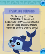 Traveling Dolphins Jamaa Journal