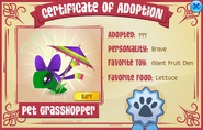 Certificate-of-Adoption Pet-Grasshopper