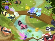 Animal jam raccoon wallpaper.jpg (509 KB) Raccoon wallpaper from The Daily Explorer.