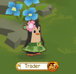 Trader