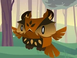 Pet Nighthawk