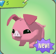 The Pig for sale in the Diamond Shop