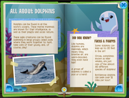 Dolphin p2