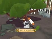 Gem Tree (cosmo).jpeg (866 KB) A player sitting next to the Gem Tree in a Cosmo-aligned Pack Hideout.