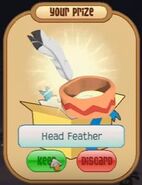 Peach Head Feather