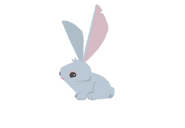 Bunny beta