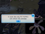 Bitter-Sweets Pet-Puppy-Passage