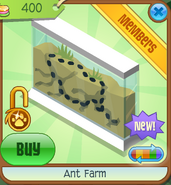 Ant Farm white