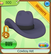 Cowboy Hat 6